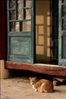 dailyPhoto35