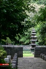 dailyPhoto21