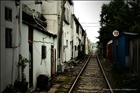 dailyPhoto12