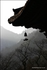 dailyPhoto9
