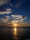 dailyPhoto6