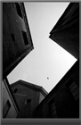 dailyPhoto30