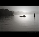 dailyPhoto5