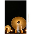 dailyPhoto3
