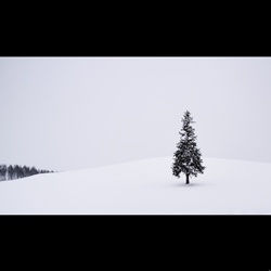 dailyPhoto38