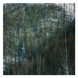 dailyPhoto33