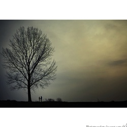 dailyPhoto3