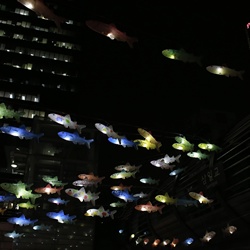 dailyPhoto5
