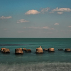 dailyPhoto7