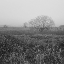 dailyPhoto24