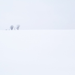 dailyPhoto36