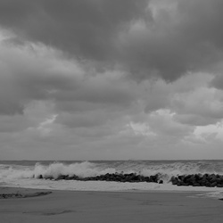 dailyPhoto37