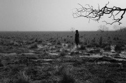 dailyPhoto6