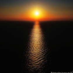 dailyPhoto29