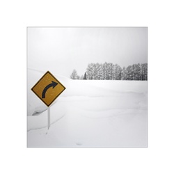 dailyPhoto2