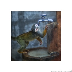 dailyPhoto25