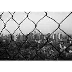 dailyPhoto10