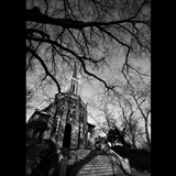 dailyPhoto8