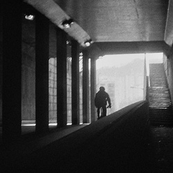 dailyPhoto6