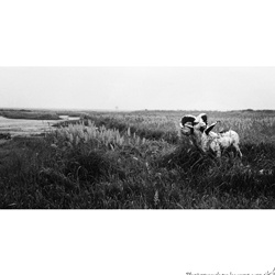dailyPhoto9