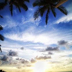 dailyPhoto36