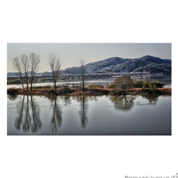 dailyPhoto23