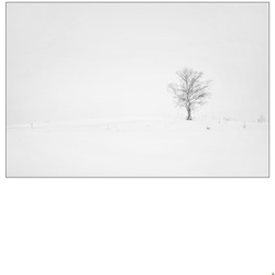 dailyPhoto40