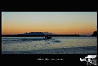dailyPhoto39