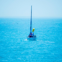 dailyPhoto36