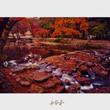 dailyPhoto34