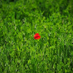 dailyPhoto26