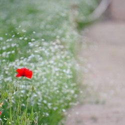 dailyPhoto17