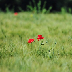 dailyPhoto40