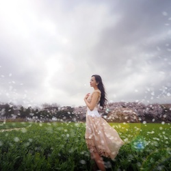 dailyPhoto36