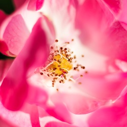 dailyPhoto22