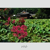 dailyPhoto31