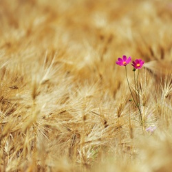 dailyPhoto34