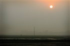 dailyPhoto10