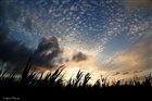 dailyPhoto20