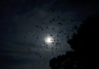 dailyPhoto34