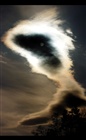 dailyPhoto2
