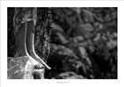 dailyPhoto26