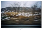 dailyPhoto1