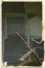 dailyPhoto40