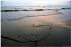 dailyPhoto10
