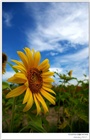 dailyPhoto1