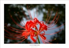dailyPhoto40