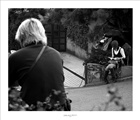 dailyPhoto2