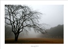 dailyPhoto7