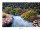dailyPhoto1